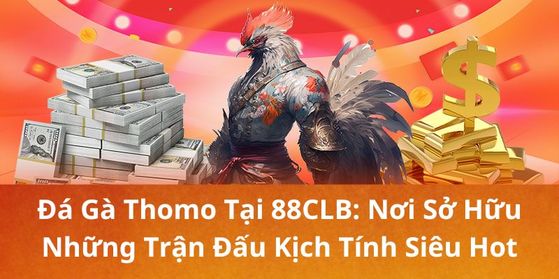 Khái niệm về đá gà Thomo