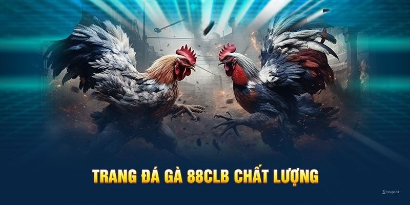 Cung cấp thông tin về sảnh đá gà 88CLB