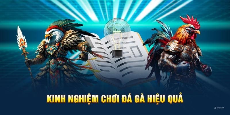 Những bí kíp săn thưởng hiệu quả tại sảnh đấu chiến kê 88CLB